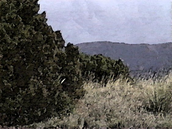 Views of the Sandias 3